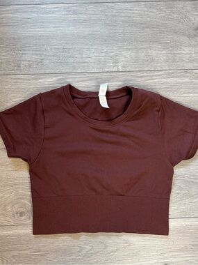 Aerie Offline Brown Cropped Sidewalk Seamless Top